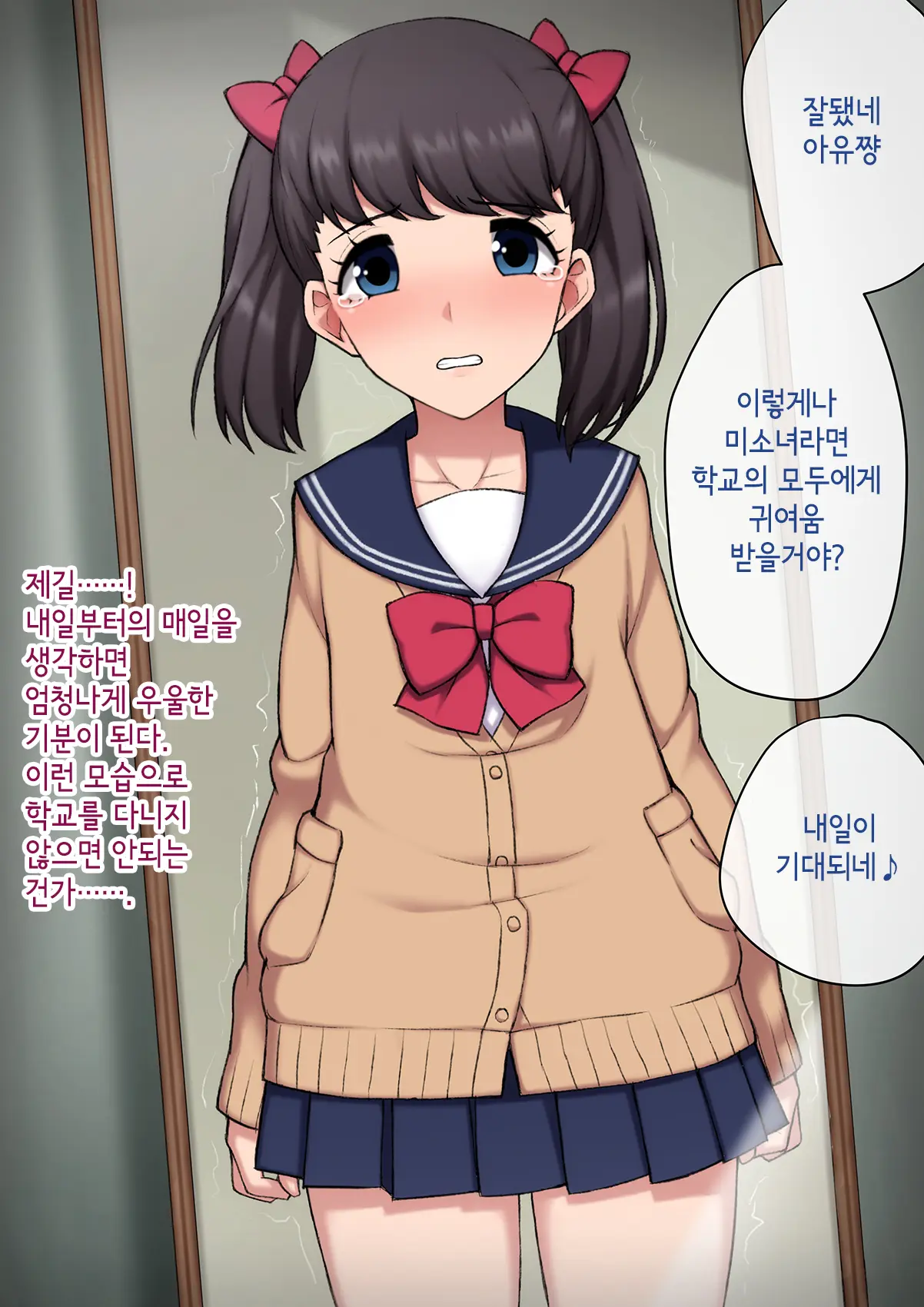 Josou Mesu Ochi Fuuki Iin ~Kiyoku Tadashii Mohansei Ga Inran Bitch Ni Ochiru Made~